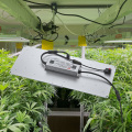 Cannabis -Pflanzlampe LED Wachsen Lichter