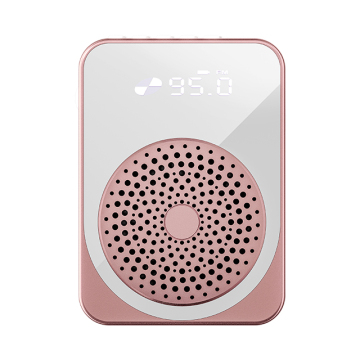 Portable Wireless Voice Amplifier with Bluetooth Lapel Microphone for Teachers - Affordable Solution for Clear Classroom Audio