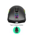 Mouse wireless di gioco ricaricabile di tipo C RGB