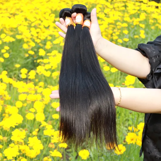 Top Quality Virgin Brazilian Cuticle Aligned Hair With Lace Frontal Closure 10A Raw Unprocessed Mink Straight Human Hair Bundles