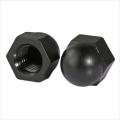 Schwarze Eichelmuttern Nylon Hex Cap Nut