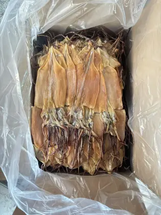 Frozen Dried Calamari Squid – A Unique Seafood Delight