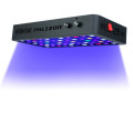 2022 Beste Aquarium LED Grow Lamp 54cm UV