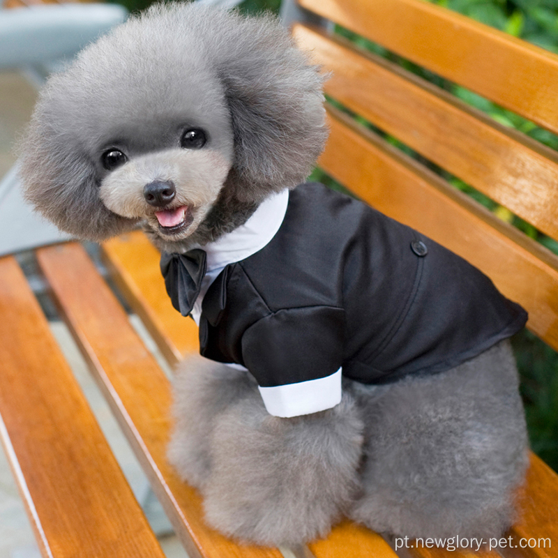 As roupas de cachorro de vestuário de vestido de traje