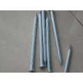 electro/hot dipped galvanized concrete steel nail