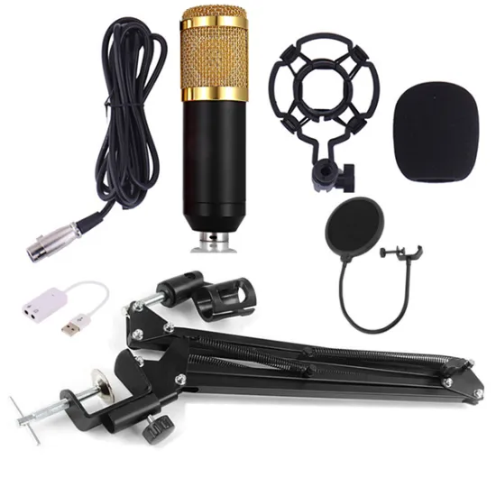 2021 Drop Shipping Condenser Microphone Package: Vogue BM800 Pro Audio Studio Sound Recording System with Arm Stand and Filters