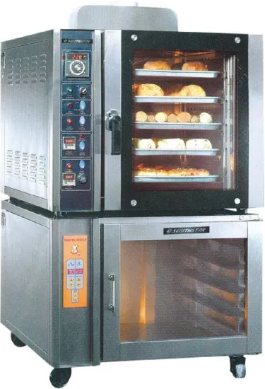Electric Gas convection oven with Proofer