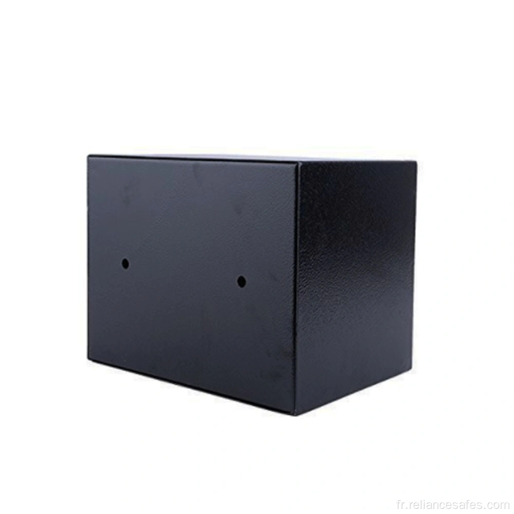 Digital Fingerprint Safe