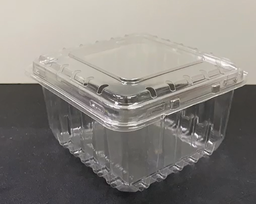 Fruit Container Clear