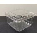 Disposable Plastic Fruit Packaging Box With Lid