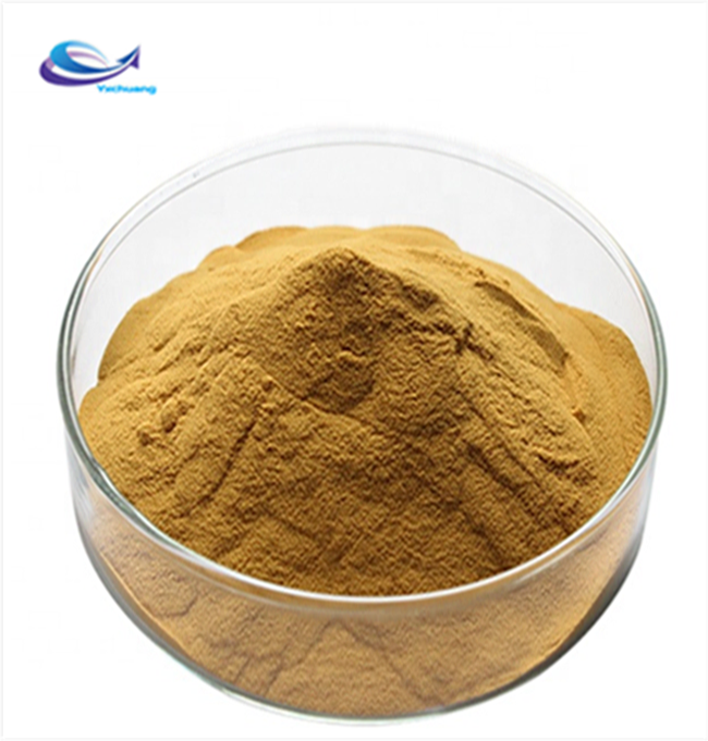 silymarin milk thistle extract powder