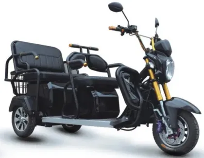 Elderly Cargo Electric Tricycle: Scooters and Three-Wheel Disability Vehicles for Adults