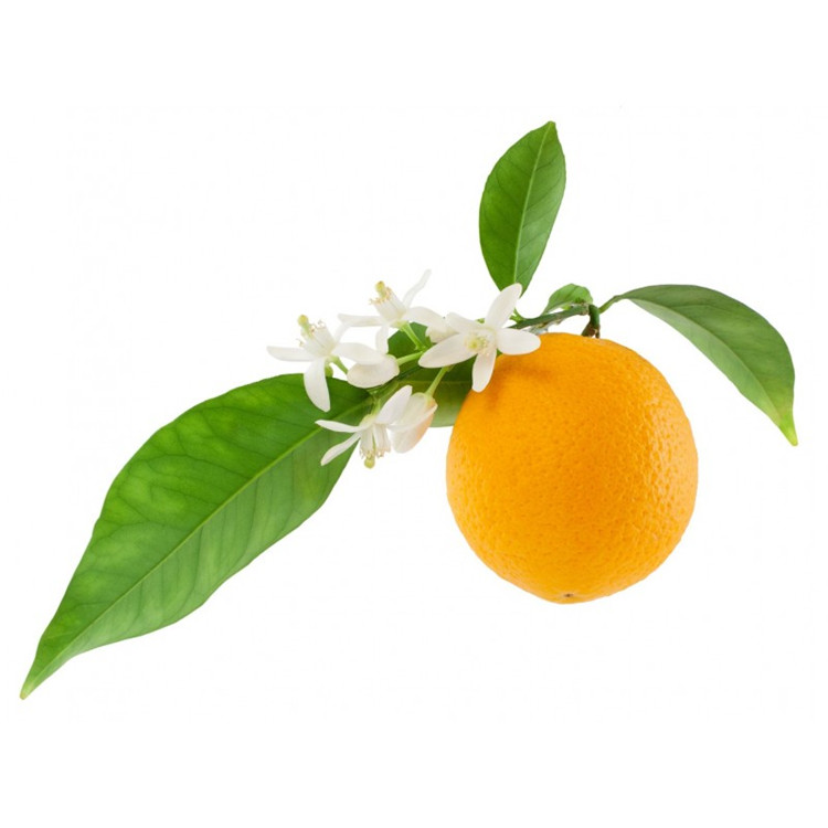 5 veces aceite de naranja dulce