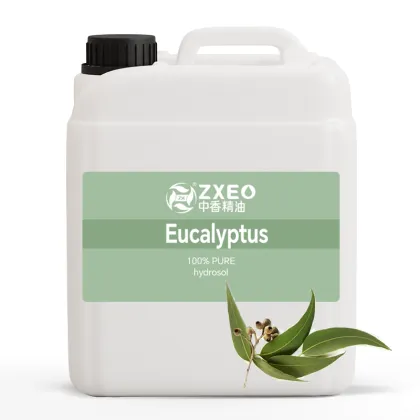 Pure Eucalyptus Hydrosol Water OEM Skin Care Solution Liquid Floral Water Raw Wholesale Price
