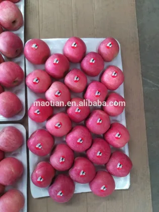 High quality crisp & juicy fresh fuji Apple of year 2015 crop