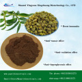 Dendrobium Extract Herba Dendrobium Polysaccharides Powder