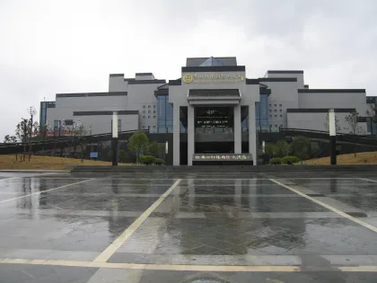 Qihong International Hotel Grid Roof Project