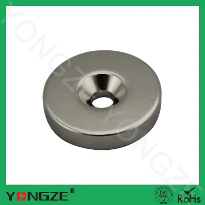 Subwoofer magnet