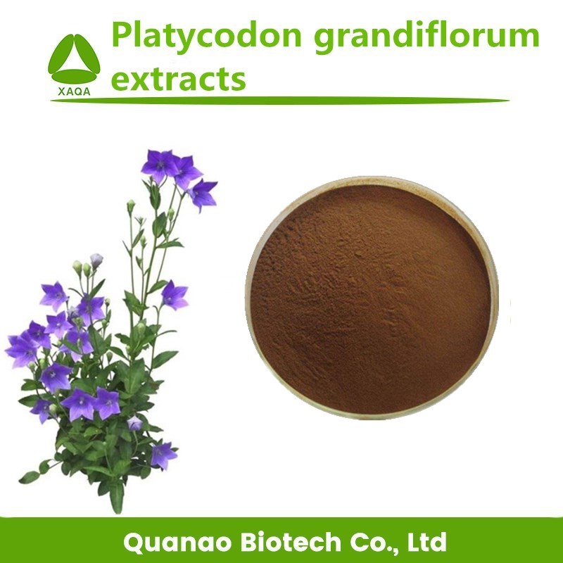 Extracto de raíz de flores de globo / platycodon grandiflorum polvo