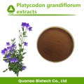 Ballon bloem root extract / platycodon grandiflorum poeder