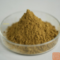 Extracto de Sophora japonica Sophoricósido 20%