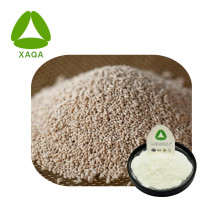 Boost Immunity Yeast Beta Glucan Powder