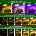 LED PLANT GROUNS LUZES DE ESPECTURO COMPLETO