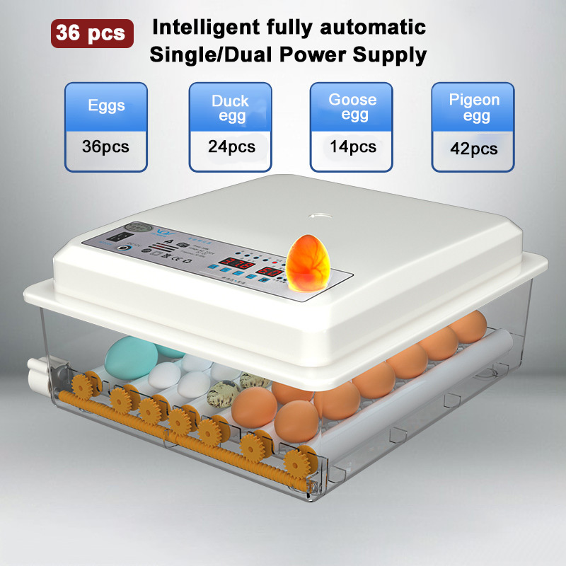 Small Home Egg Incubator Best Selling Automatic Smart Control Poultry Egg Incubator