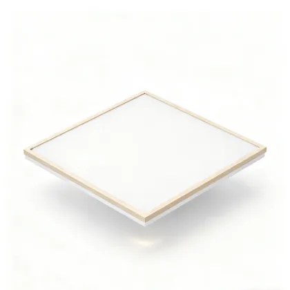 Remote Dimming Ceiling Light