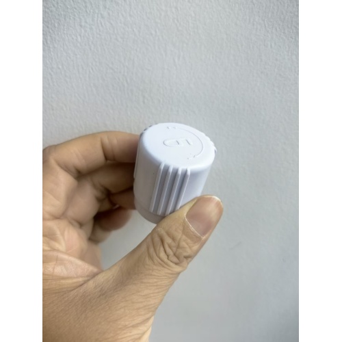 Injection Molding Pipe Cap for Plumbing & Pipeline Fittings