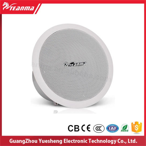 In ceiling guangzhou speaker