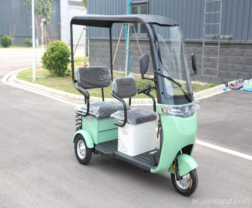 البالغين E Bike 3 Wheel Cargo Pike Pike