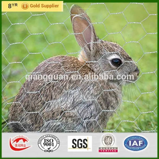 Aviary fence 50mm holes, hexagonal netting for fence of rabbit