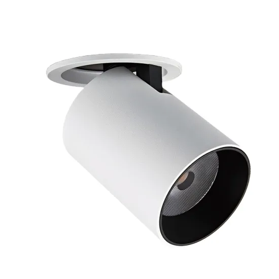 DALI Flexible LED Downlight - RONSE 35W 3180Lm Indoor Stretch Ceiling Anti-Glare Retractable Light