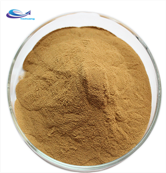 Organic Lion's Mane Mushroom Extract Powder P.E. Extract