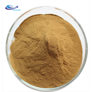 Organic Lion's Mane Mushroom Extract Powder P.E. Extract