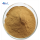 Organic Lion's Mane Mushroom Extract Powder P.E. Extract