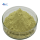 Hot sale natural ashitaba leaf powder