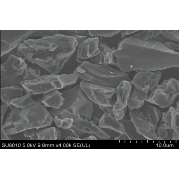 Base con shell di albicocche Carbonia dura