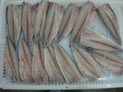 Pacific Mackerel Frozen Mackerel Fish Fillet Seafood