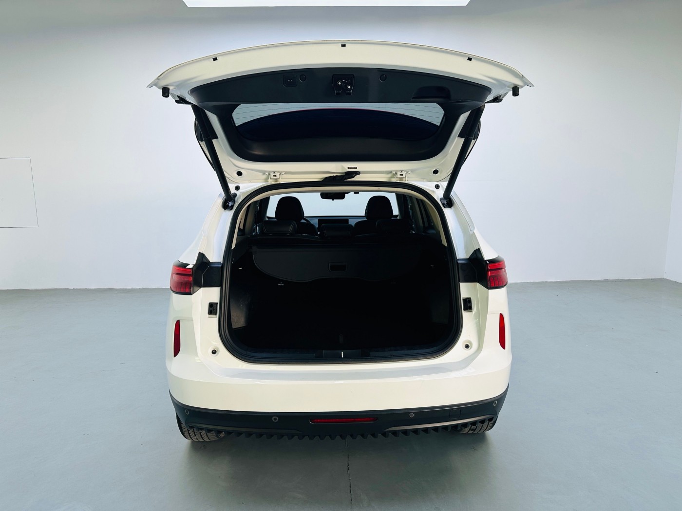 2022 1.5T DHT-PHEV 110km Joyful Edition