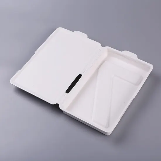 Custom biodegradable bagasse packaging clamshell box