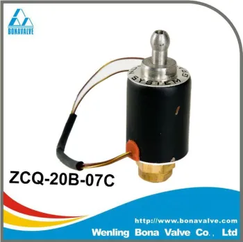BONA Brass Solenoid Valve for Steam Iron ZCQ-20B-07C