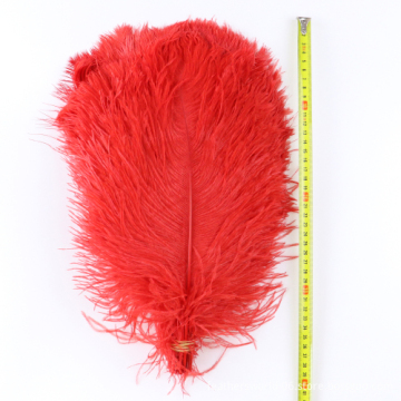 Turkey Feather Trims, Fleece Feathers, Lace, Clothing Accessories & Feather Crafts: A Comprehensive Guide for Manufacturers