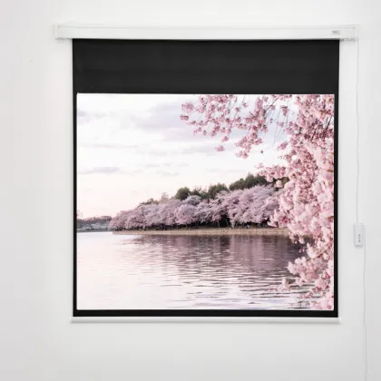 Grey Blue Screen Film for Anti-Light Projector Screen