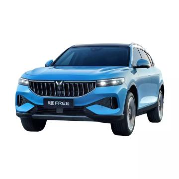 Factory-Price Ultra-Luxury Electric SUVs and Cheap Electric Cars on Lantu Free Hot Sale 2022 in China
