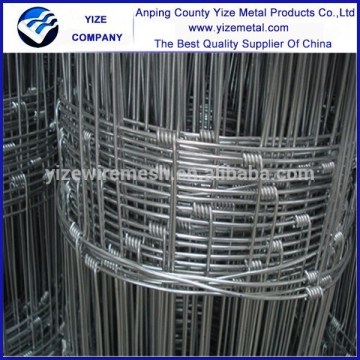 animal security fence field fence /fencing (China manufacturer)