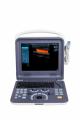 Doppler a colori per scanner ad ultrasuoni veterinario digitale portatile