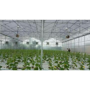 Rock Wool Hydroponics Planting system for Greenhouse