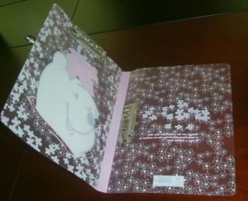 pp folder